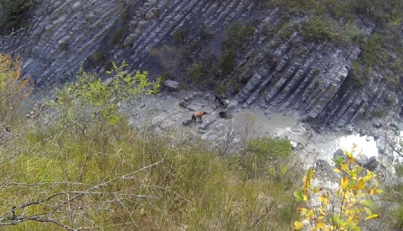 De La Vallée D'Agnielles Jok